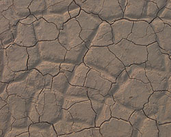 The desert surface