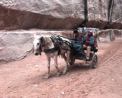 One of the horse-drawn buggies in the Siq gorge