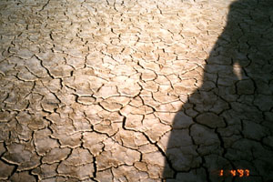 The characteristic polygons formed on the Black Rock Desert