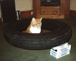 Macavity and the tyre