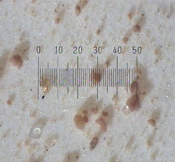 Magnified Desert Dust